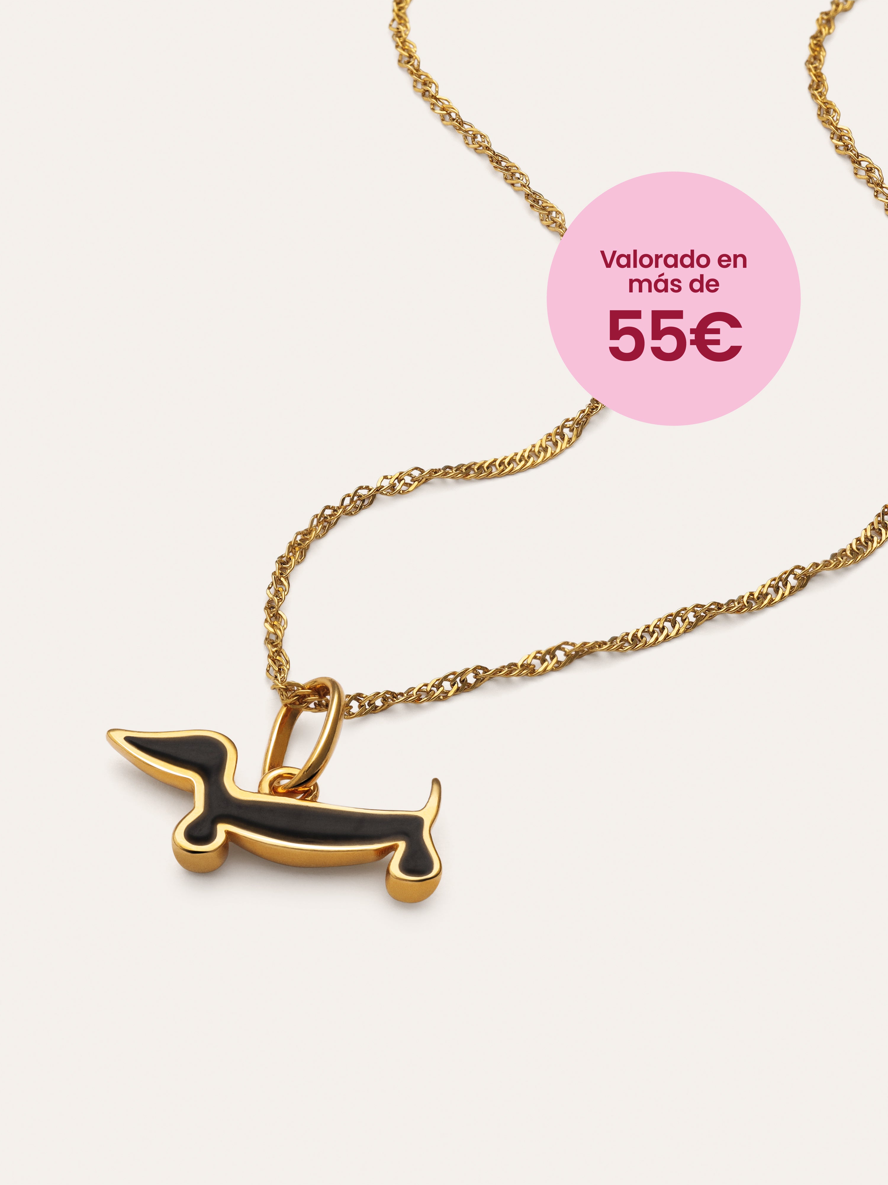 Pack Regalo Collar Mini Twist y Charm Perro Teckel Black Baño Oro
